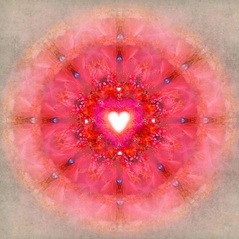 1465375_959691167502704_1682335467_n