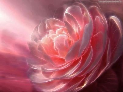 1488890_10152089856609204_1590329143_n