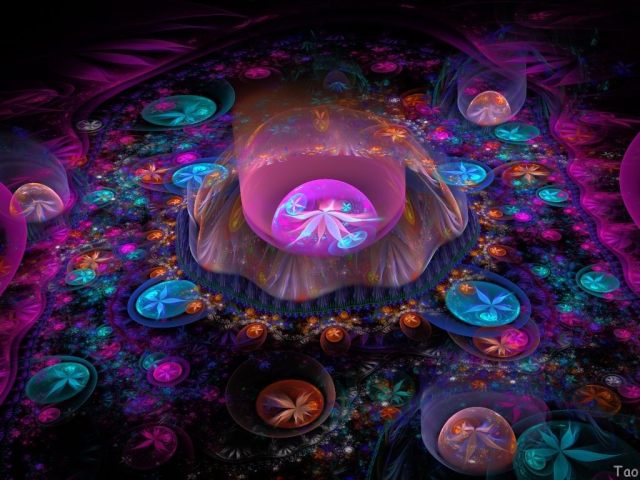 1495286_459113034199514_35558387_o