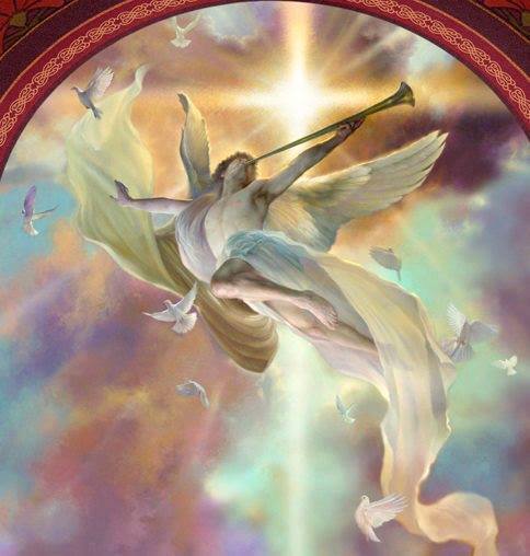 1508974_192367054301185_501546787_n