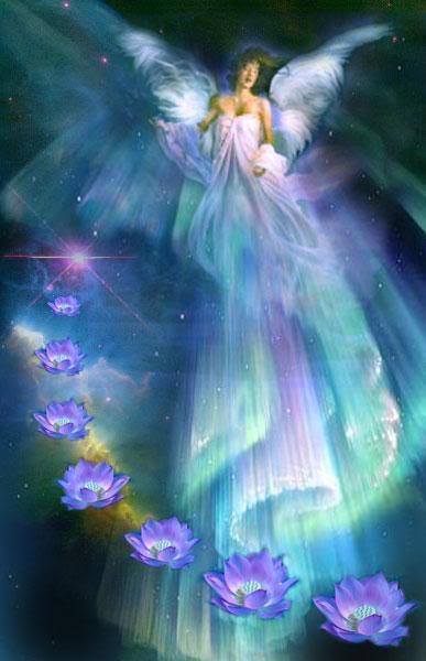 1525265_680349045343141_2101681981_n