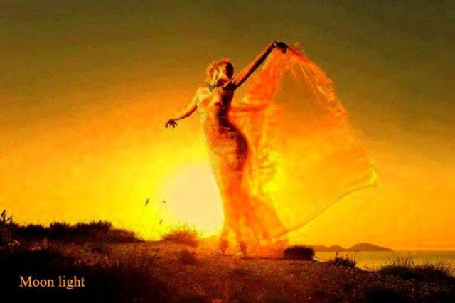 17209_578127705566609_1518579965_n