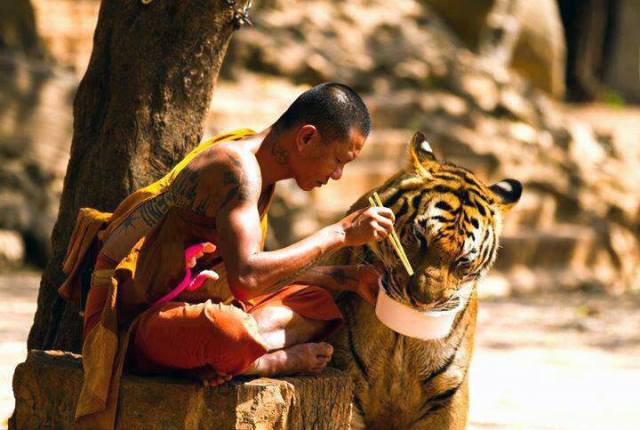 184588_184762068356426_1622041839_n