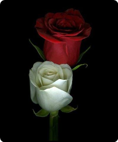 2780_1408434582722309_802745613_n