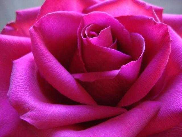 304454_10151049594544249_2033025334_n