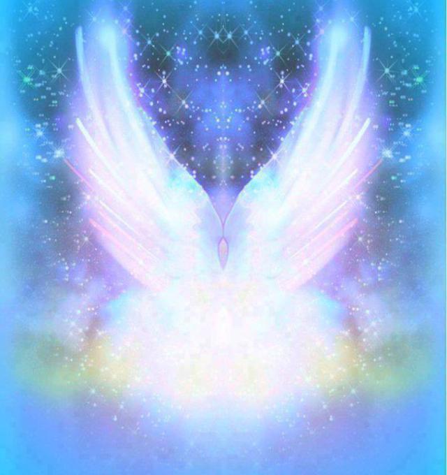 375130_498999286822210_1918629988_n