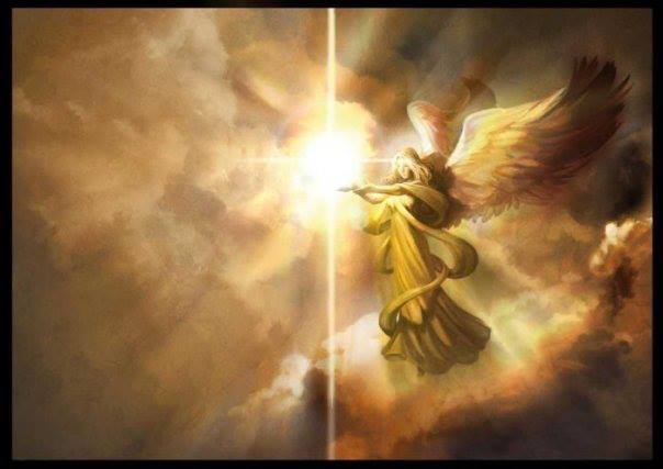 375590_482600575154092_753381908_n