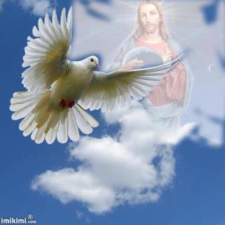 3914_314470915333142_2043178913_n