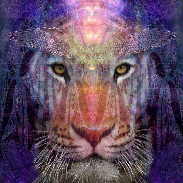 401864_660163204000908_1141203300_n