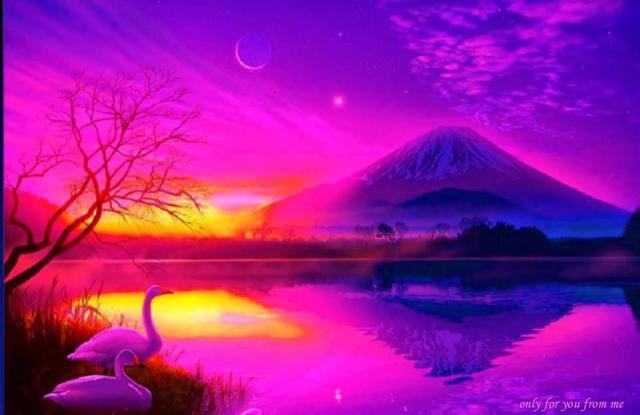 479964_353377371439748_1479515665_n