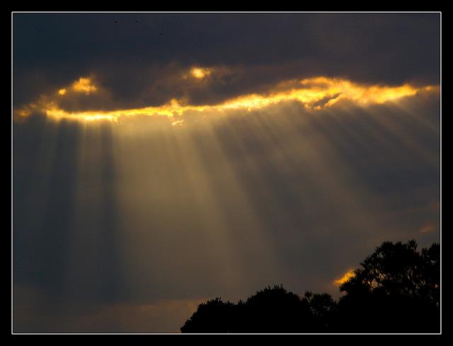 530198_289389691168587_2098709365_n