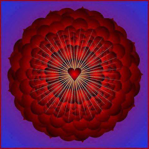 540168_1390817211138488_322191248_n