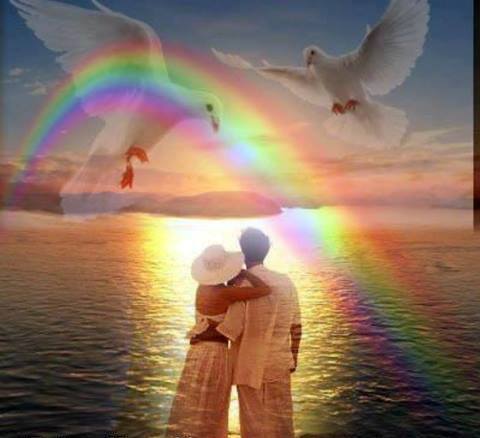 557404_1405370213013132_886561348_n