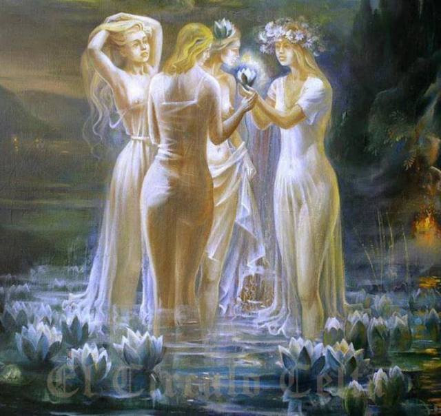 576796_4974353923771_648382335_n