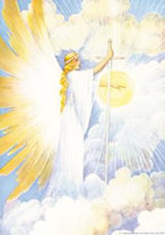 581001_10150955202494249_669881315_n