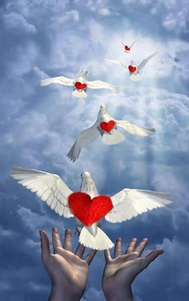 601615_374368386010061_164632049_n