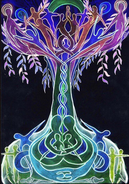 6313_589293141081989_678797268_n