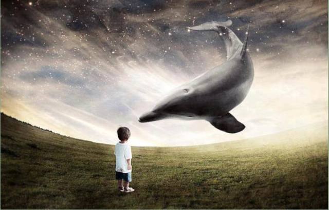 71877_174405282741996_649232385_n