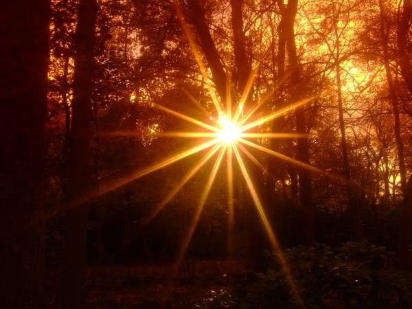 74372_454596943458_5885256_n