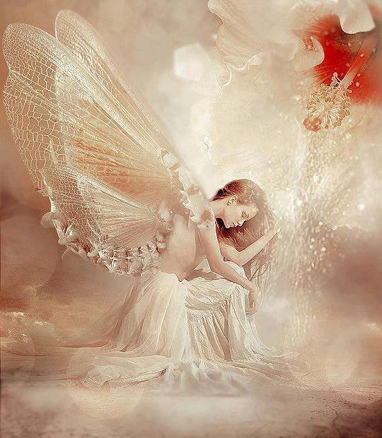 969041_4953999454922_361895907_n