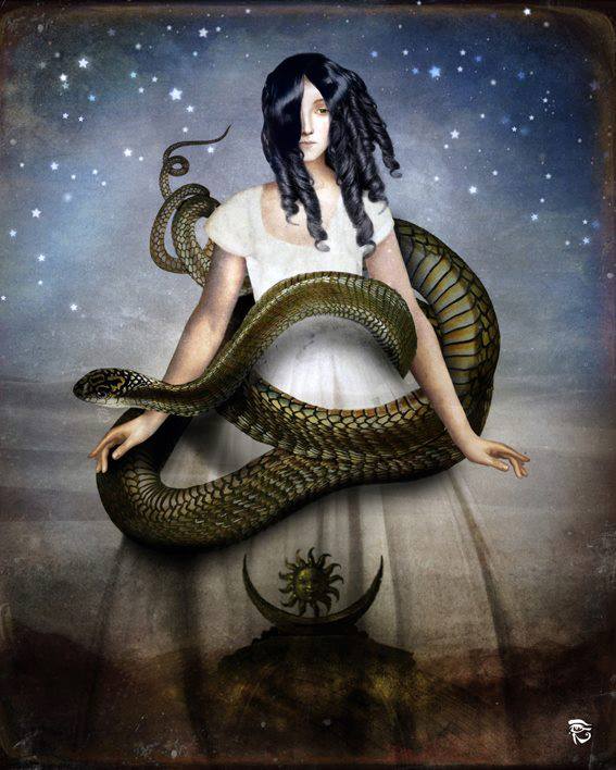 969215_649626728381963_2111437476_n