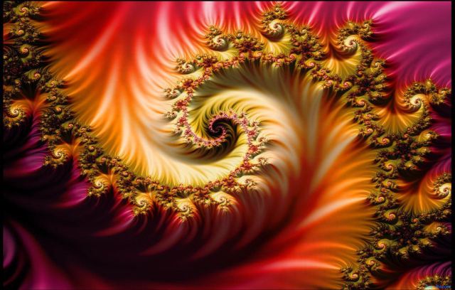 977042_498171250250372_1482858273_o