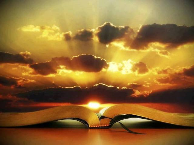 995419_400185646753960_892802352_n