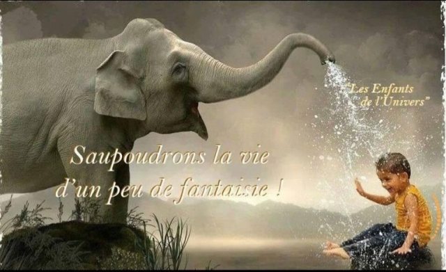 1011567_166686500190241_744167714_n