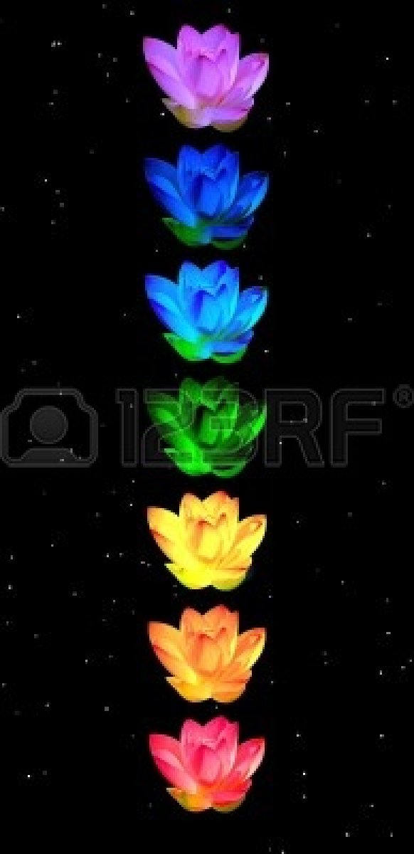 11690431-colores-de-los-chakras-de-la-flor-de-lirio-en-una-columna-en-el-fondo-de-la-noche