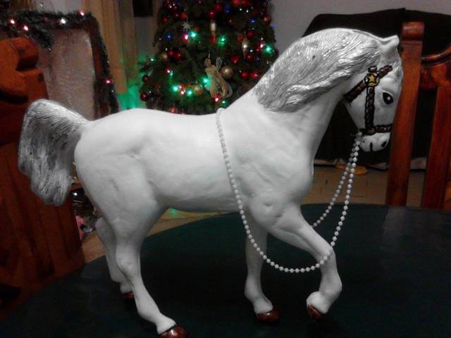 1493297_690205144352966_288339512_o