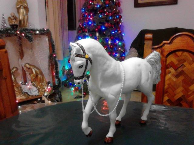 1502320_690204747686339_1965293750_o