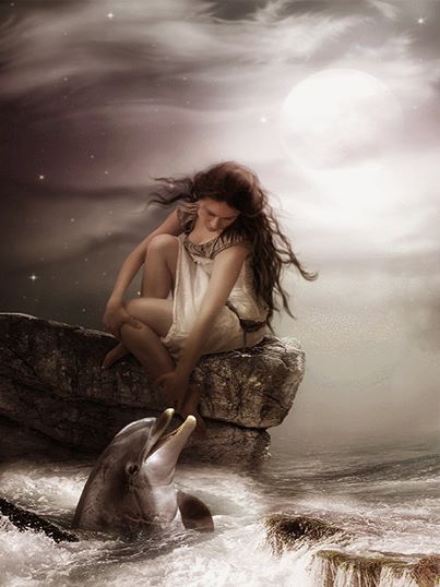 1510765_664518906934327_1527949418_n