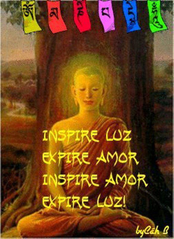 1512559_3846230289846_1274718738_n