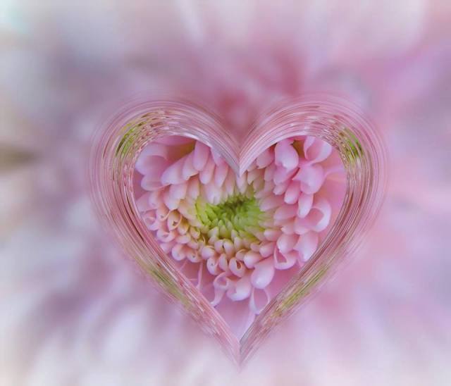 1521889_526252977472845_82396823_n