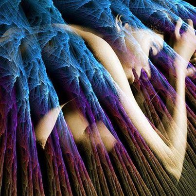 1525082_256106944551418_1198614493_n