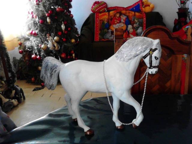 1534767_690206374352843_226702740_o (1)