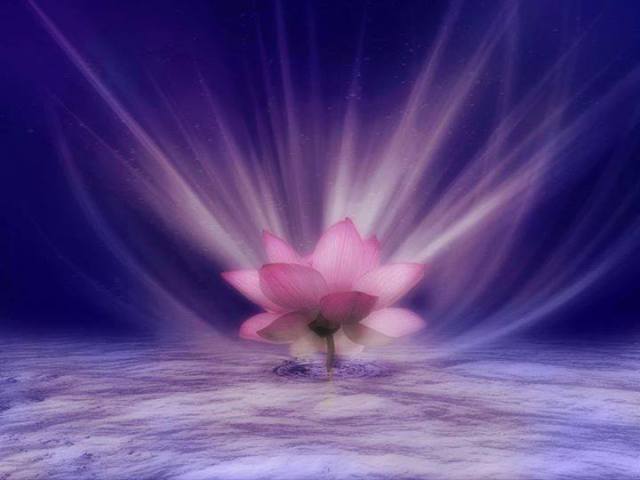 1536593_461500297284240_1259655603_n