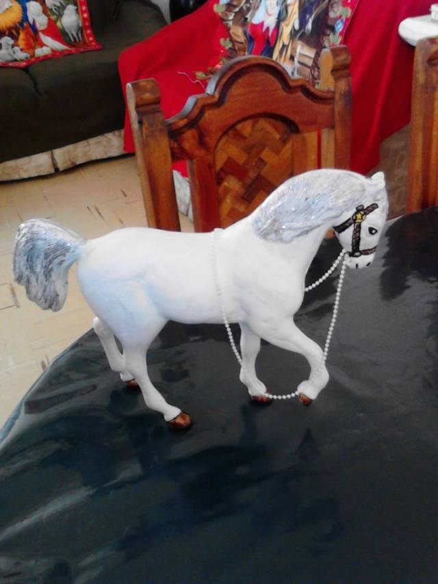 1558528_690206014352879_2051207122_n