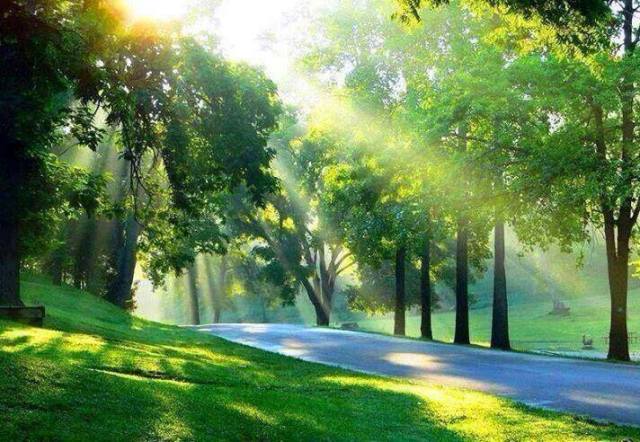 1601159_611824145555883_1872182692_n