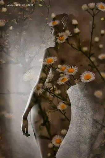 1623507_210573842468173_1523701540_n