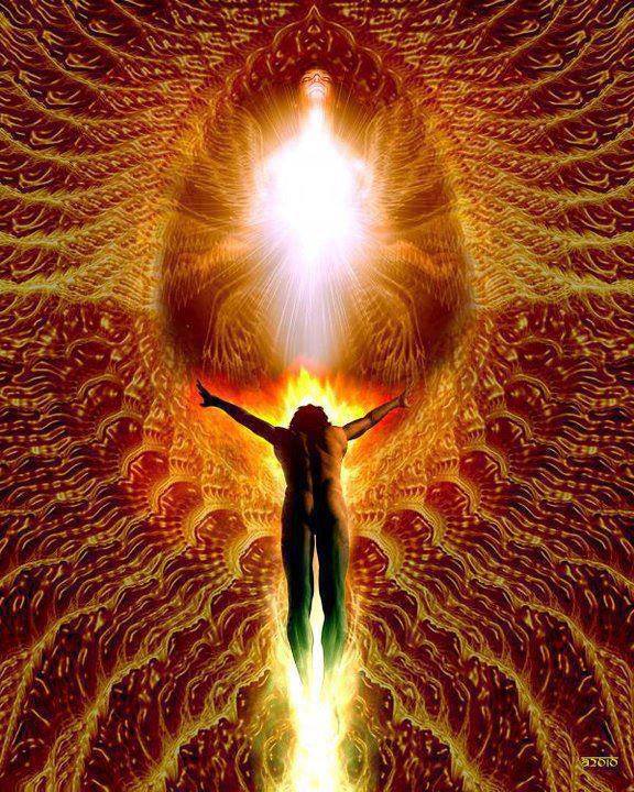 383500_342539535849360_2147318322_n