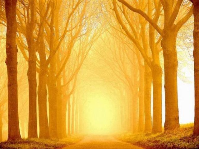 564205_10151002000721856_1496246768_n