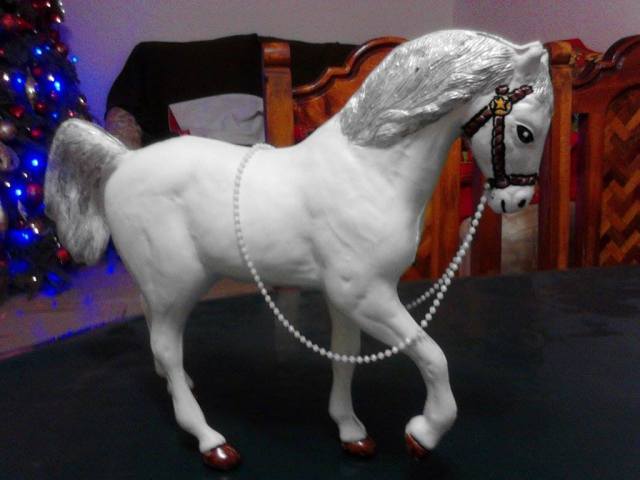 894905_690205111019636_1037561761_o