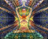 9545_483987775002053_1750739459_n