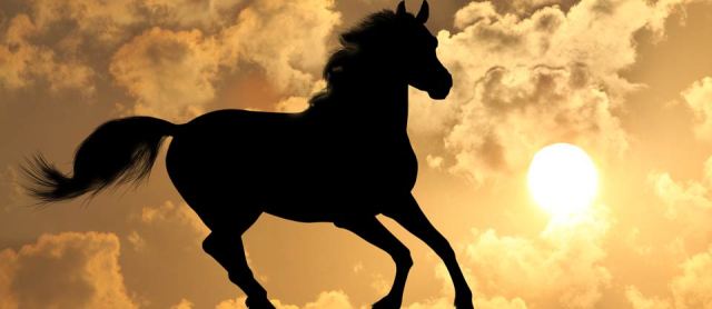 blog-caballo-en-pozo