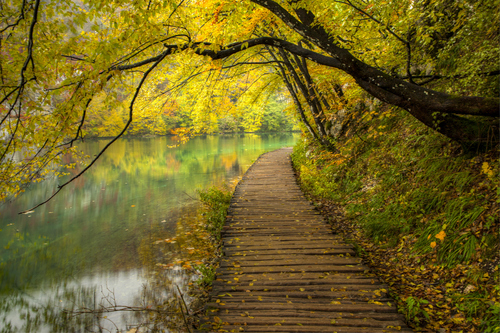 tumblr_mlmtqhcr7S1qc76t1o1_500