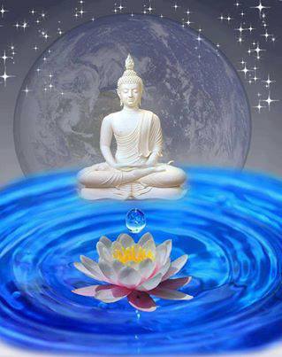 1016437_282102711931373_2016778938_n