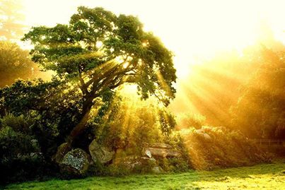 1016752_616097585068918_1589350004_n