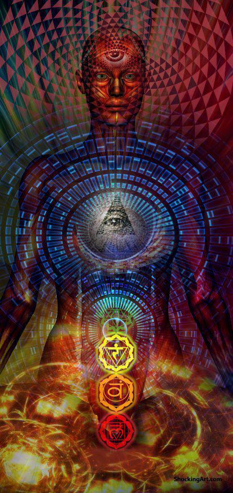 10781_479722825428548_13099086_n