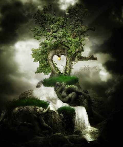 1234721_166366610227893_482932144_n